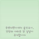 증평대형지게차 솔직후기, 장점과 아쉬운 점 낱낱이 공개합니다