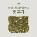 밤밤헤어