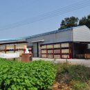 왕림3리 이미지