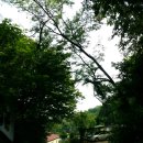 샘터낚시터 이미지