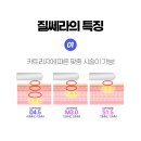 골든발란스의원 이미지
