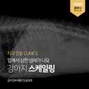 채플린동물병원 이미지