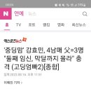 '중딩맘' 강효민, 4남매 父=3명 "둘째 임신, 막달까지 몰라" 충격 (고딩엄빠2)[종합] 이미지