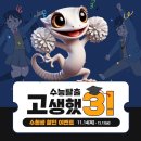 착한도마뱀