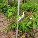 혁이농장 이미지