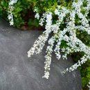 꽃향기펜션 이미지