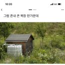 대자연목장 이미지