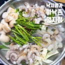 아낙촌 - 동래구 | 명지낙곱새 점심 식사하기 좋은 아낙촌 명지점 후기