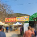 본마을2길 9 | [의성여행] 경북 의성 화전리 '2026 산수유마을꽃맞이행사' 의성 산수유축제 내돈내산 실제 방문 후기