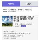 노랑매점 | 대마도 1박 2일 여행 패키지 노랑풍선 일정 후기