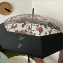 이쁜냥이 이미지