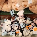 이도랜드 | 도쿄 디즈니랜드 (1) 9시 입장 1시간 대기 리얼 후기 : 대기시간, 준비물 , 판매 굿즈 등