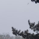 갱변 노래방 이미지