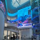 국립해양생물자원관 씨큐리움 | 서천 가볼 만한 곳 국립해양생물자원관(씨큐리움) 방문 후기 (ft. 전기차 충전요금 및 다자녀 50% 할인 팁)