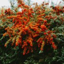 바바호텔 이미지