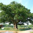 을지초등학교 이미지