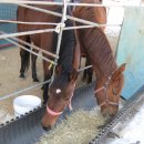 한라사료 이미지