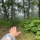 산림생태문화체험단지 이미지