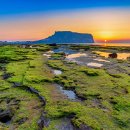 (유)본렌터카 이미지