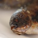 사천읍시장 이미지