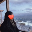 바닐라온 | 겨울 속초 여행 (오션뷰, 그미네여관, 돌섬대게횟집)