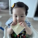 신나라어린이집 | 9개월 아기 분유량, 골든저지 2단계 후기