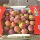 동건농장 이미지