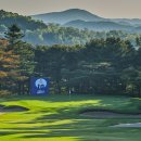 뉴코리아 이미지