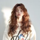 헤어료