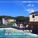 숲속의 예쁜별 | [강원도여행] 횡성 둔내면 / 애견펜션 너머 / 숲속의 예쁜 독채 펜션 추천후기