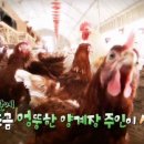 태안양계장 이미지