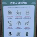 초원유치원 | 제주동물먹이주기체험 놀면뭐하니 촬영지 도치돌알파카목장 후기