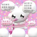결준2탄. 운빨로 승부본 제주웨딩스냅(언포게터블, 뮤토)