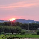 부강생활체육공원 | [공지] 저녁 운동하기 좋은 곳. 세종 부강생활체육공원 근교 부강면 자전거 길 (금강 금병로).