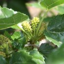 여름꽃농장 이미지