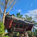여의주노래팡 | 부산 Day2 (해동용궁사, 요트투어, 더베이101, 해운대)