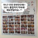 슈네일