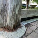 은혜양로원 이미지