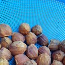 모하마을회관 이미지