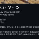 카페수애기