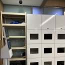 미녀와 야수짐 | [천안] 미녀와야수짐 차암점, 차암동 헬스장 PT 후기