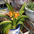 대견농장 이미지