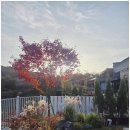 스테이 본디 | 아산 뷰맛집 아산 힐링 여행지 남자친구와 함께 다녀온, 구공스테이 본디