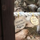 솔지에로펜션 | * 겨울여행지&amp;겨울산행 추천 코스 [용문산] *