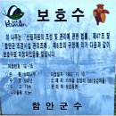 함안 군북 지석묘군 | 함안 느티나무 (보호수)