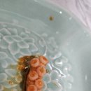 인생아구찜 평택서정점 이미지