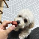 푸푸네 수제간식 이미지