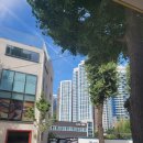 비긴PC방 이미지