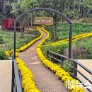 숲속 향기 작은도서관 이미지