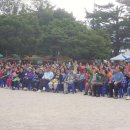 경주버섯 이미지